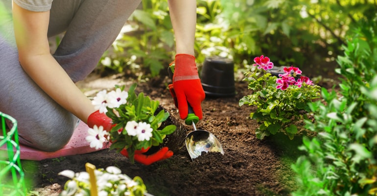 comparatif produit jardin