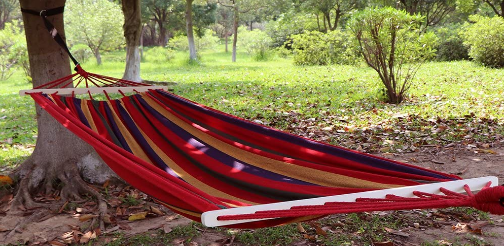 Meilleur hamac