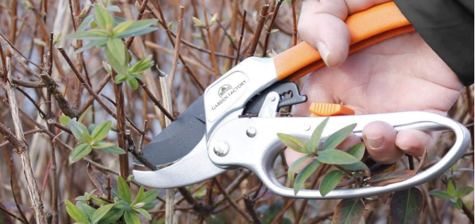 Meilleur sécateur