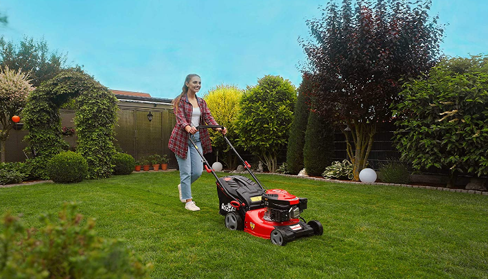 Meilleure tondeuse thermique