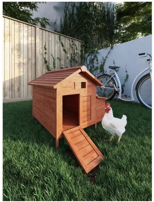 Accessoire poulailler