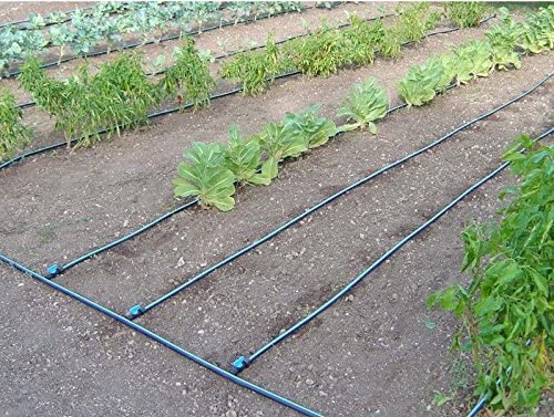 Arrosage goutte à goutte sans pression