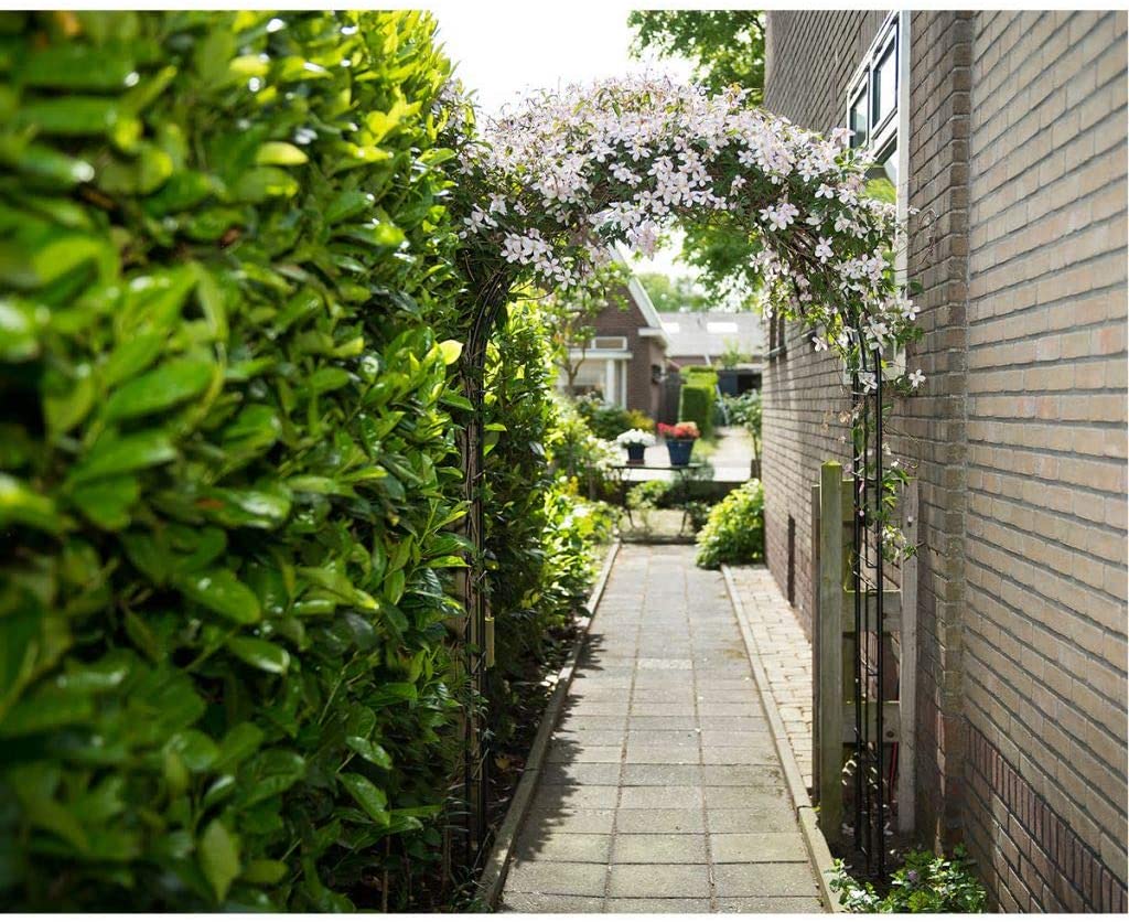 Pergola acier adossée