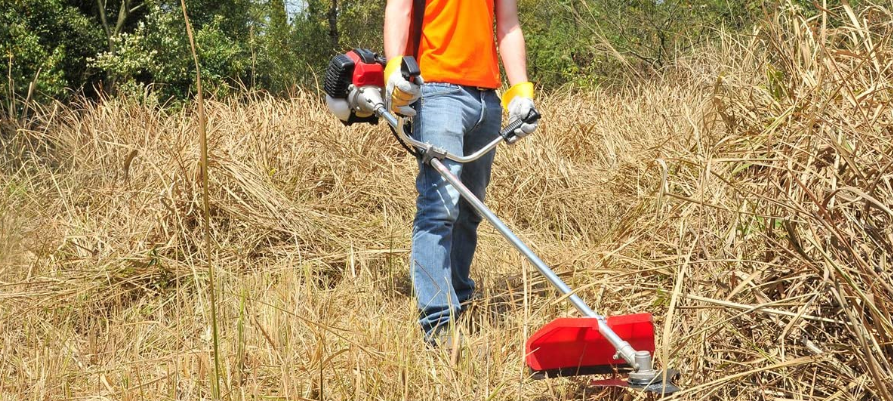Débroussailleuse thermique