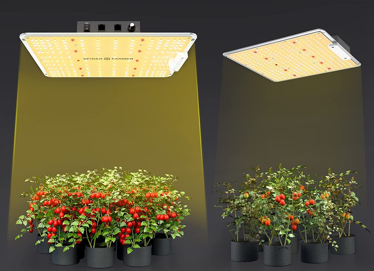 Panneau led culture indoor