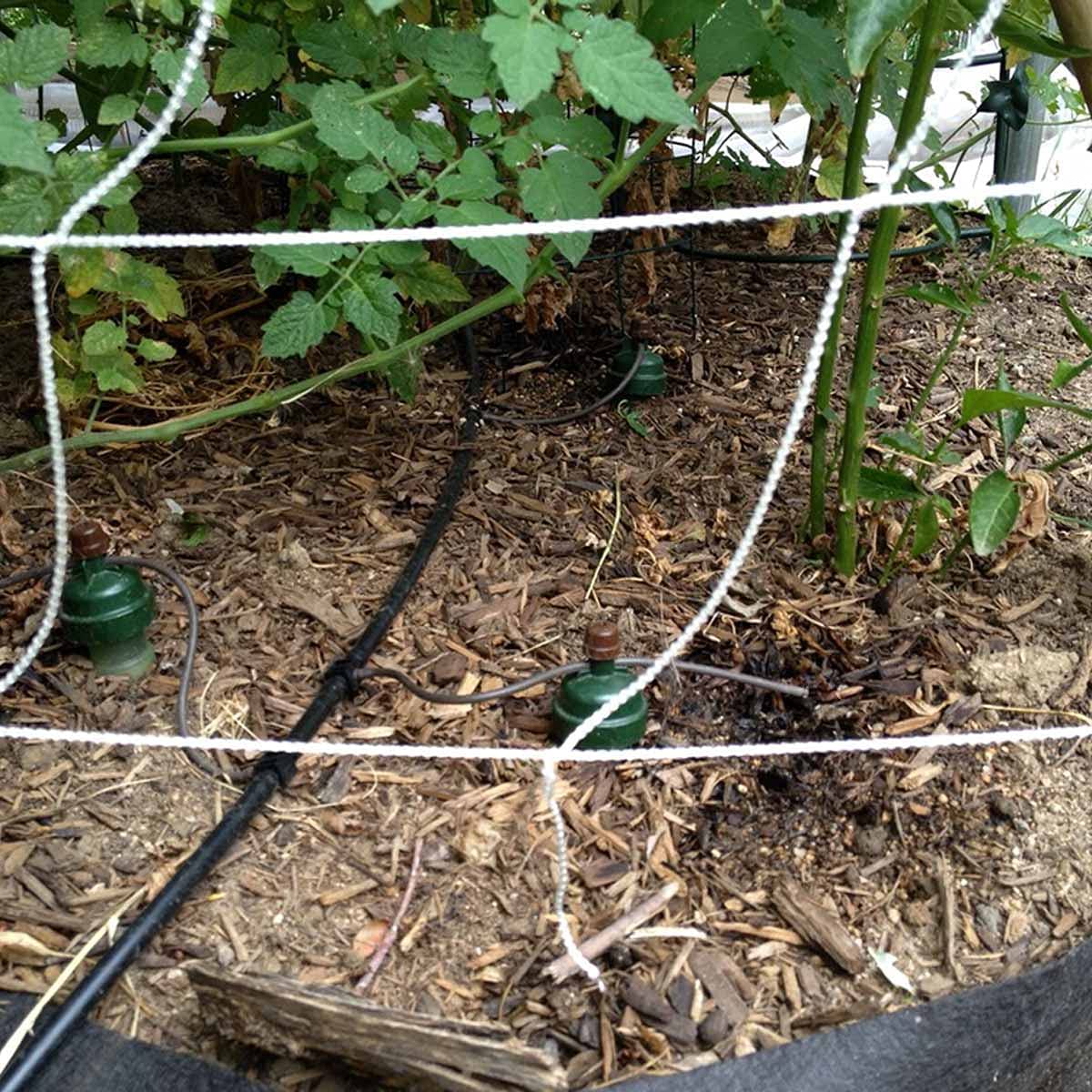 Programmateur goutte à goutte